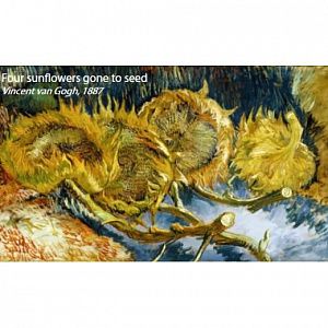 Flotex Vision Pattern  940 (Van Gogh) Sunflowers